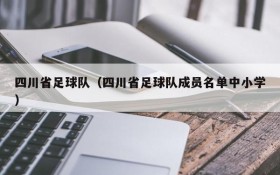 四川省足球队（四川省足球队成员名单中小学）
