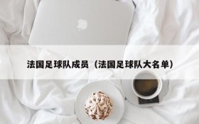 法国足球队成员(法国足球队大名单)