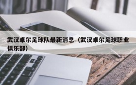 武汉卓尔足球队最新消息（武汉卓尔足球职业俱乐部）