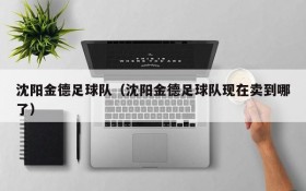 沈阳金德足球队(沈阳金德足球队现在卖到哪了)