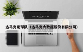 达马克足球队(达马克大数据股份有限公司)