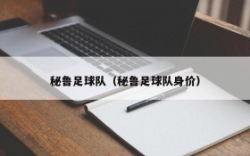 秘鲁足球队(秘鲁足球队身价)