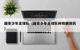 国家少年足球队(国家少年足球队林晓鹏简历)