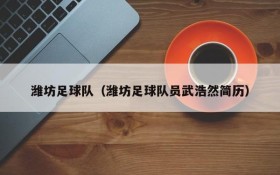 潍坊足球队(潍坊足球队员武浩然简历)
