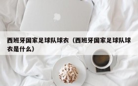 西班牙国家足球队球衣(西班牙国家足球队球衣是什么)