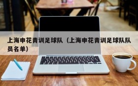 上海申花青训足球队(上海申花青训足球队队员名单)