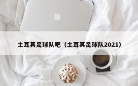 土耳其足球队吧（土耳其足球队2021）