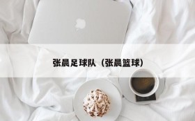 张晨足球队(张晨篮球)