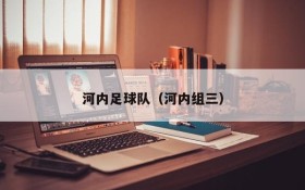 河内足球队(河内组三)