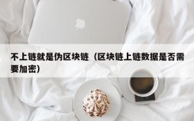 不上链就是伪区块链（区块链上链数据是否需要加密）