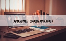 海市足球队(海地足球队绰号)