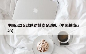 中国u22足球队对越南足球队(中国越南u23)