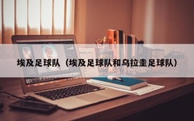 埃及足球队(埃及足球队和乌拉圭足球队)