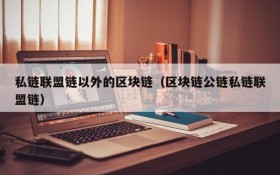 私链联盟链以外的区块链(区块链公链私链联盟链)