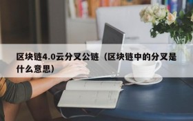 区块链4.0云分叉公链(区块链中的分叉是什么意思)