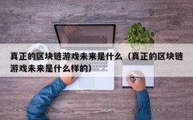 真正的区块链游戏未来是什么（真正的区块链游戏未来是什么样的）