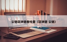 公链区块链吞吐量(区块链 公链)