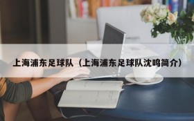上海浦东足球队(上海浦东足球队沈鸣简介)