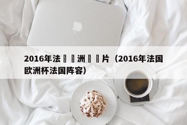 2016年法國歐洲盃圖片（2016年法國歐洲杯法國陣容）