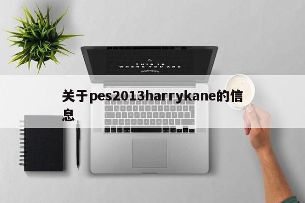 關於pes2013harrykane的信息