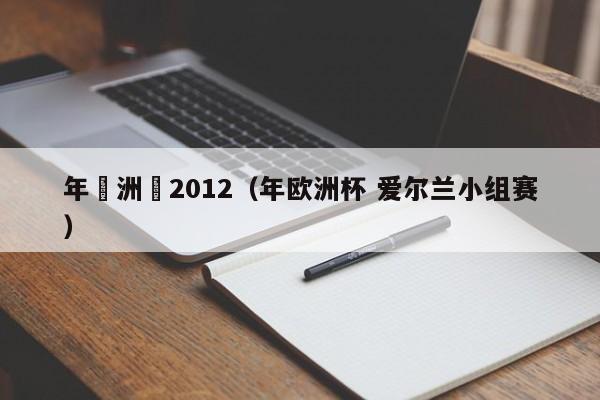 年歐洲盃2012（年歐洲杯 愛爾蘭小組賽）