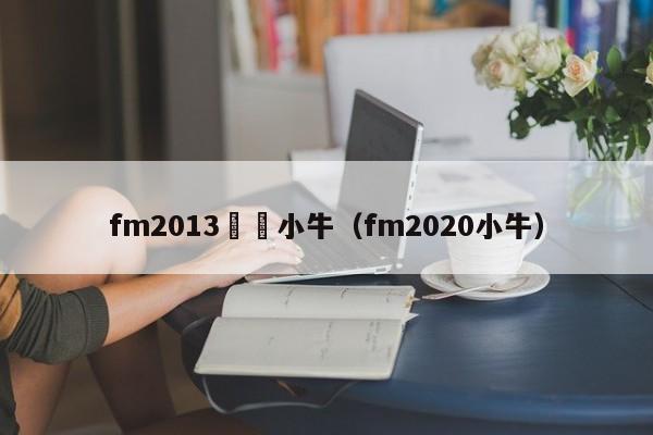 fm2013開檔小牛（fm2020小牛）