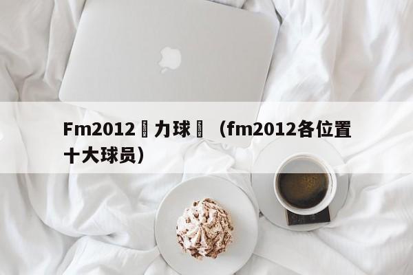 Fm2012潛力球員（fm2012各位置十大球員）