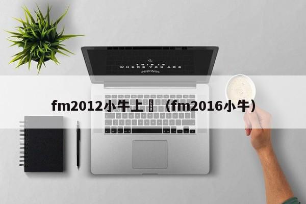 fm2012小牛上場（fm2016小牛）