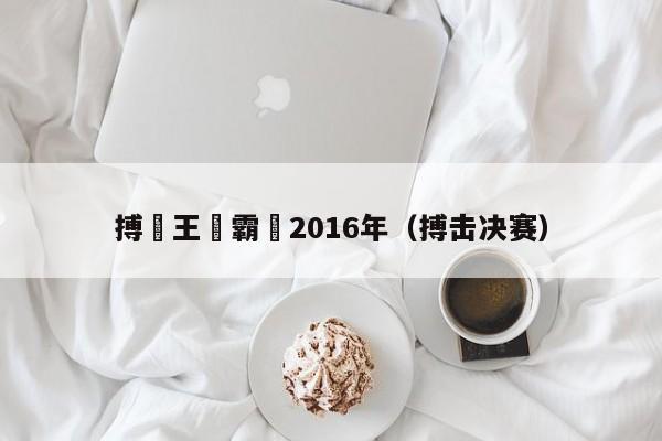 搏擊王爭霸賽2016年（搏擊決賽）