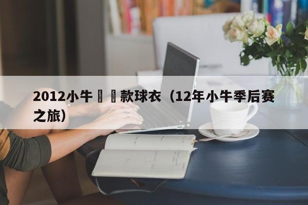 2012小牛聖誕款球衣（12年小牛季後賽之旅）