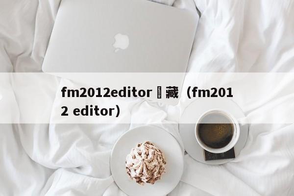 fm2012editor隱藏（fm2012 editor）