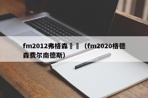 fm2012弗格森戰術（fm2020格德森費爾南德斯）