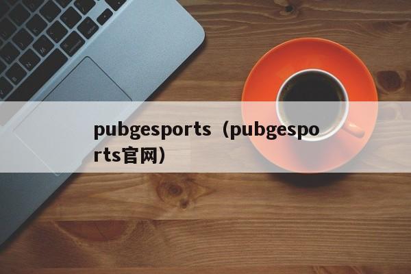 pubgesports（pubgesports官網）