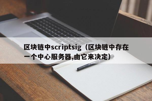 區塊鏈中scriptsig（區塊鏈中存在一個中心服務器,由它來決定）