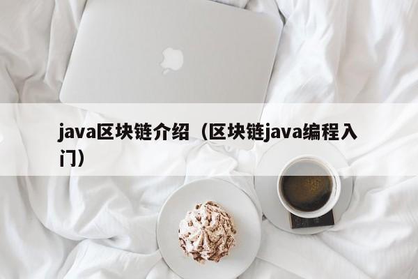 java區塊鏈介紹（區塊鏈java編程入門）