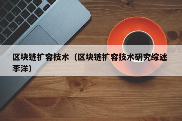 區塊鏈擴容技術（區塊鏈擴容技術研究綜述 李洋）