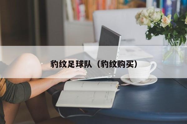豹纹足球队（豹纹购买）