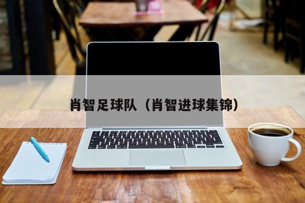 肖智足球队（肖智进球集锦）