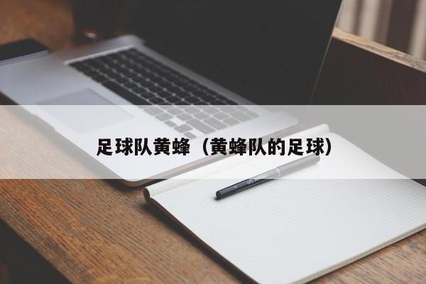 足球队黄蜂（黄蜂队的足球）
