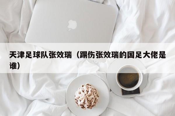 天津足球队张效瑞（踢伤张效瑞的国足大佬是谁）